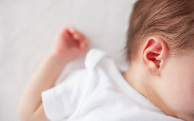 Scientists explore regenerative potential of the inner ear…