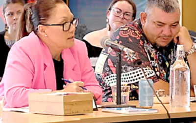 NDIS creates First Nations Advisory Council.